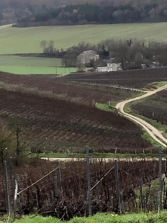 فيلا Floressens En Champagne Terrasse Privative Sur Le Vignoble Fleury-la-Riviere المظهر الخارجي الصورة