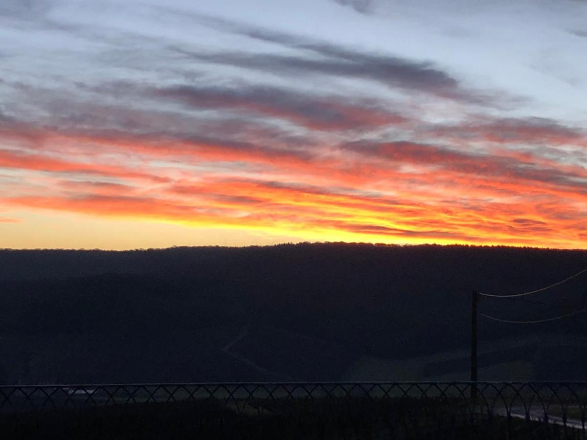 فيلا Floressens En Champagne Terrasse Privative Sur Le Vignoble Fleury-la-Riviere المظهر الخارجي الصورة
