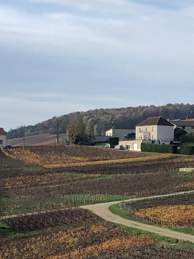 فيلا Floressens En Champagne Terrasse Privative Sur Le Vignoble Fleury-la-Riviere المظهر الخارجي الصورة