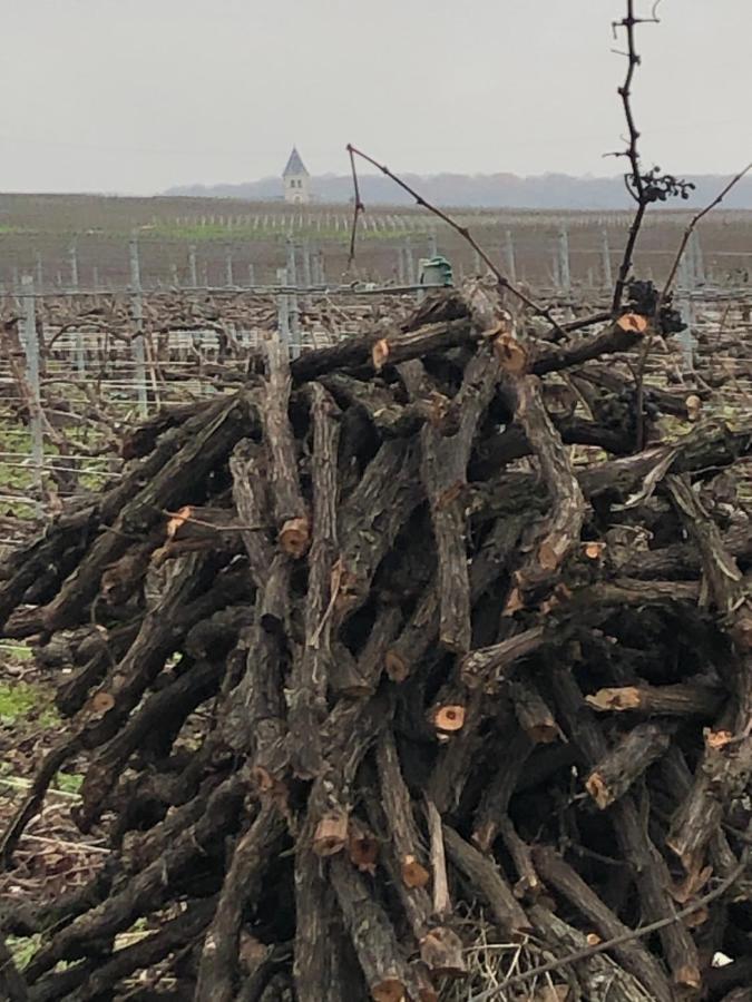 فيلا Floressens En Champagne Terrasse Privative Sur Le Vignoble Fleury-la-Riviere المظهر الخارجي الصورة
