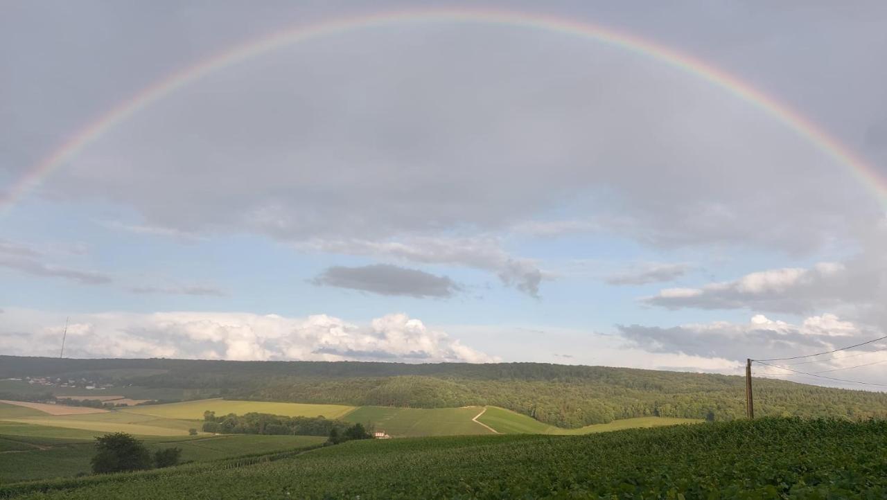 فيلا Floressens En Champagne Terrasse Privative Sur Le Vignoble Fleury-la-Riviere المظهر الخارجي الصورة